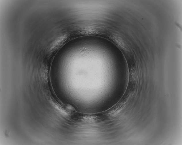 X0000098040450200804071445
