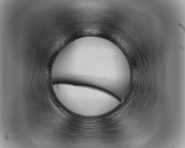 X0000098040451200804071445