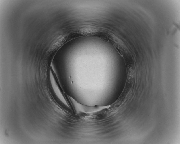 X0000098040452200804071445