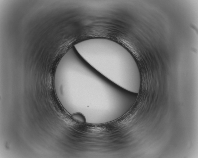 X0000098040453200804071445