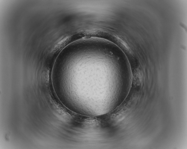 X0000098040454200804071445