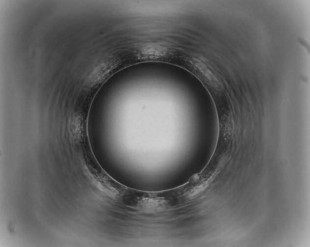 X0000098040455200804071445