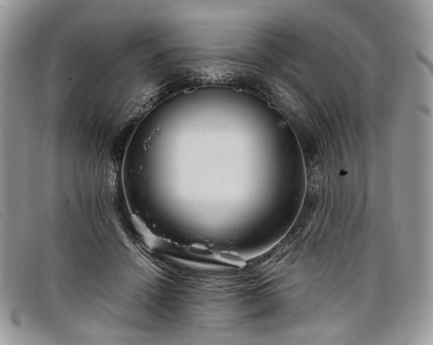X0000098040456200804071445