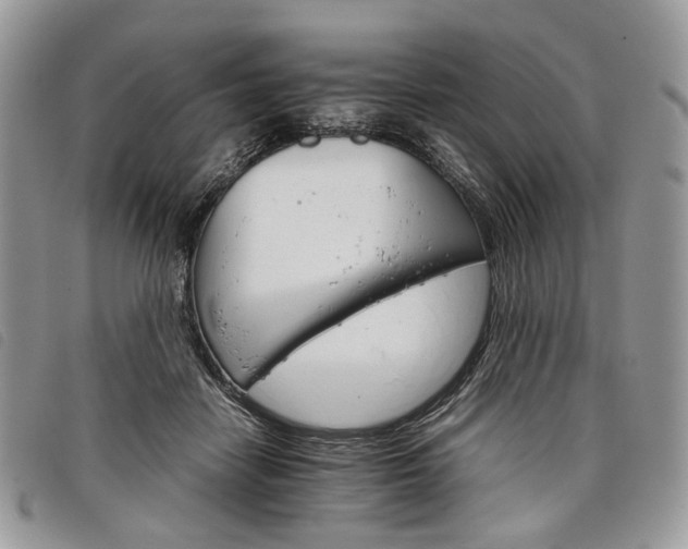 X0000098040458200804071445