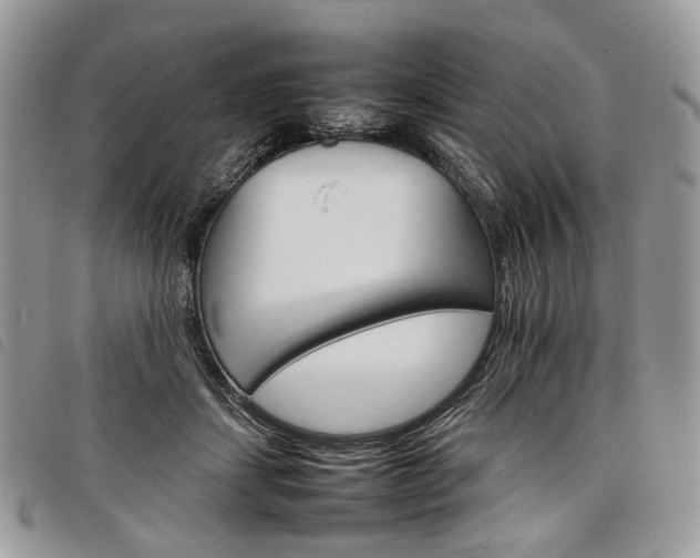 X0000098040459200804071445