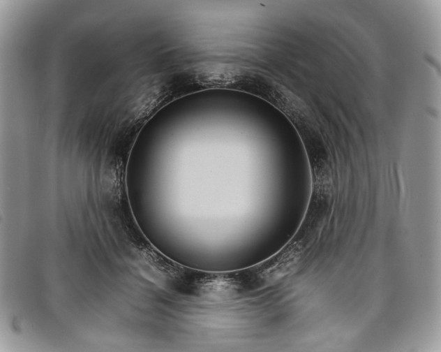X0000098040460200804071445
