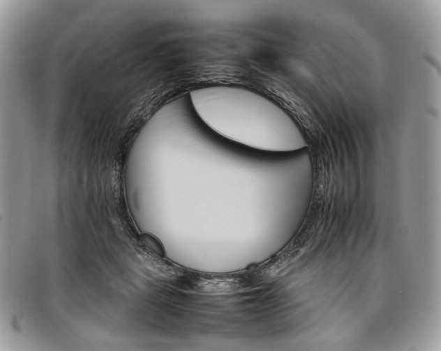 X0000098040461200804071445
