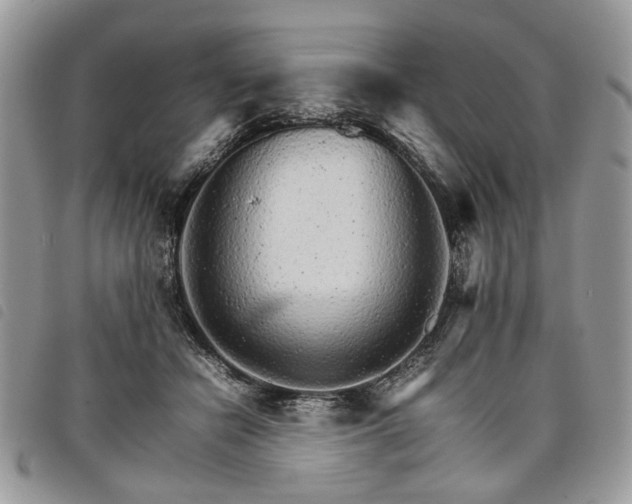 X0000098040462200804071445