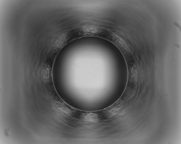 X0000098040463200804071445
