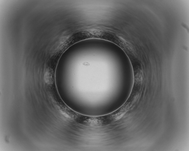 X0000098040464200804071446
