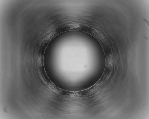 X0000098040468200804071446