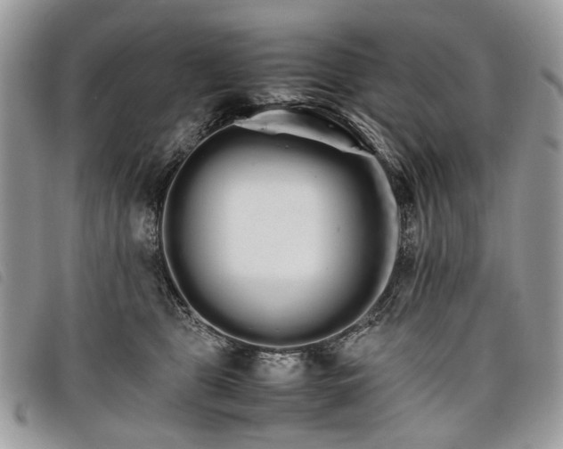 X0000098040469200804071446