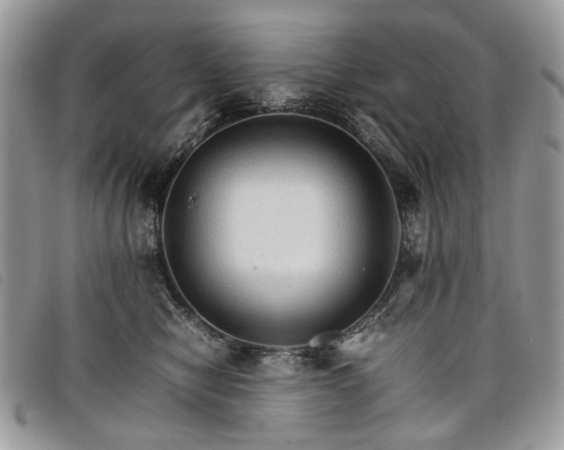 X0000098040470200804071446