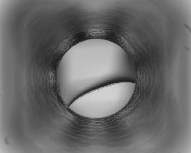 X0000098040471200804071446