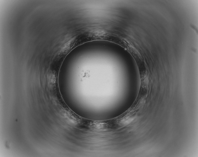 X0000098040472200804071446