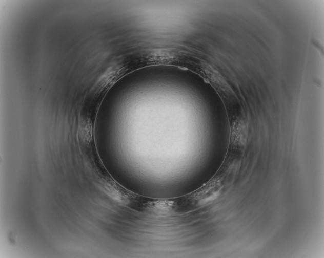 X0000098040474200804071446