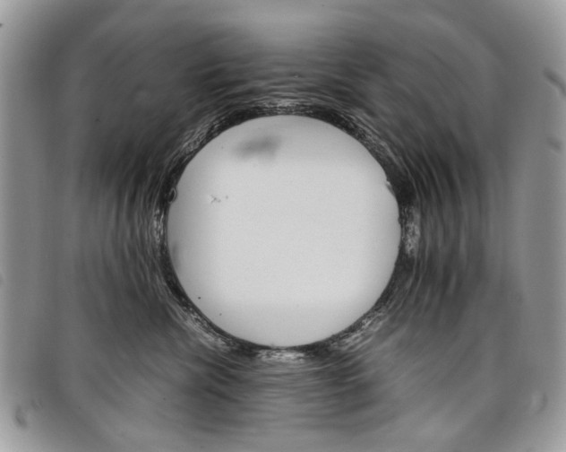 X0000098040476200804071446