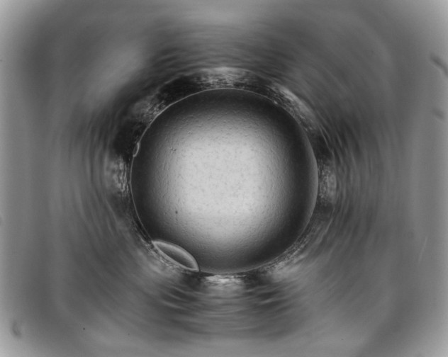 X0000098040477200804071446