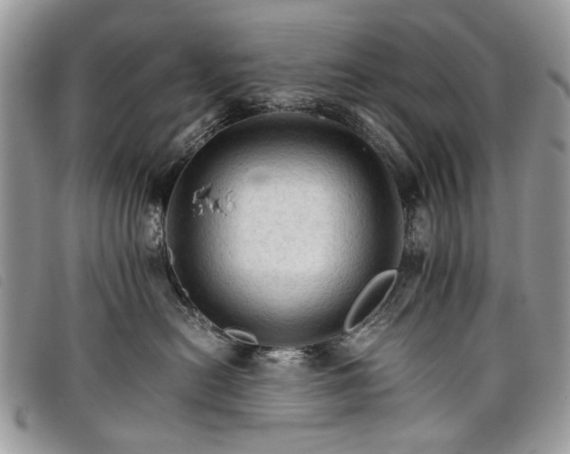 X0000098040478200804071446