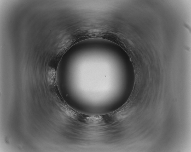 X0000098040480200804071446