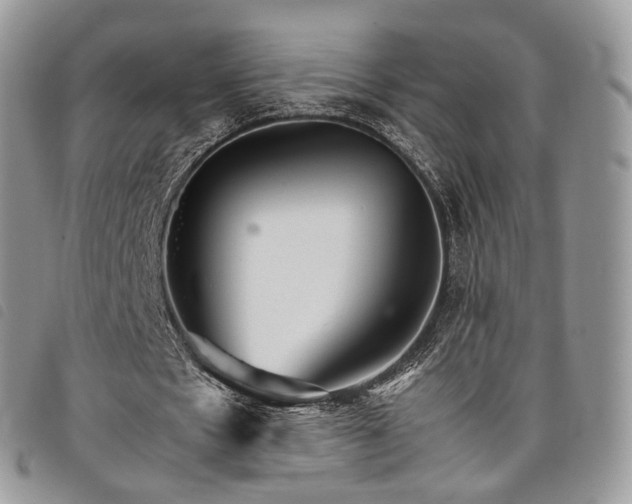 X0000098040481200804071445