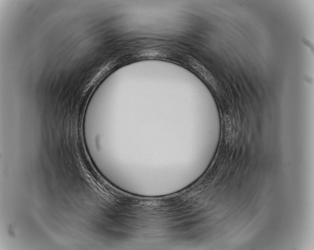 X0000098040482200804071445