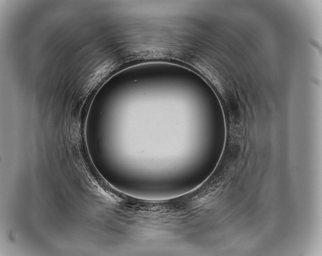 X0000098040485200804071445