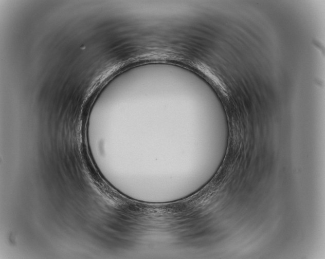 X0000098040486200804071445