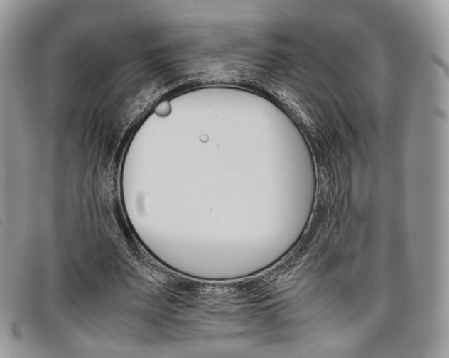 X0000098040487200804071445