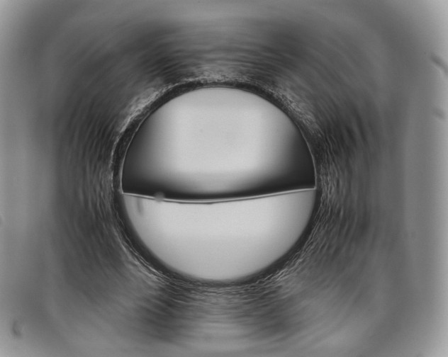 X0000098040488200804071445