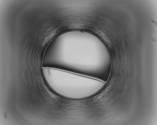 X0000098040489200804071445
