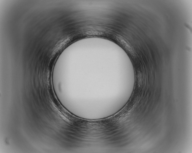 X0000098040490200804071445