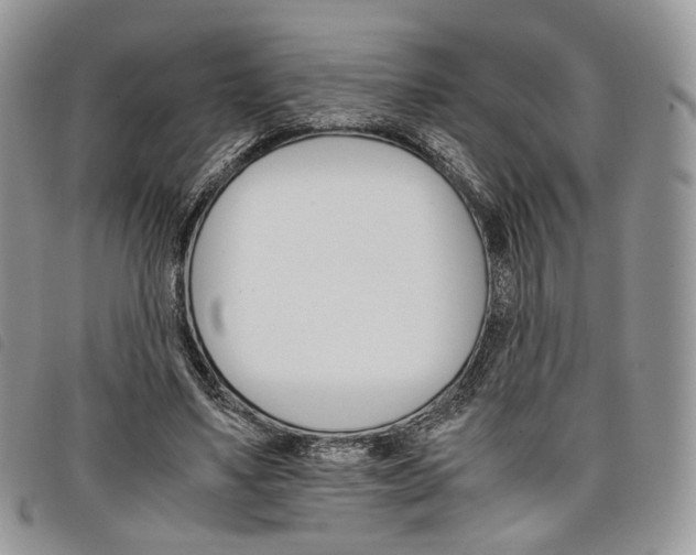 X0000098040491200804071445