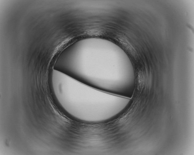X0000098040492200804071445