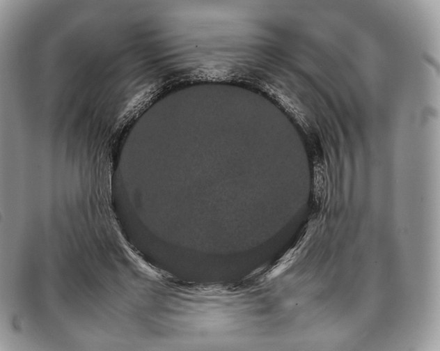 X0000098040493200804071445
