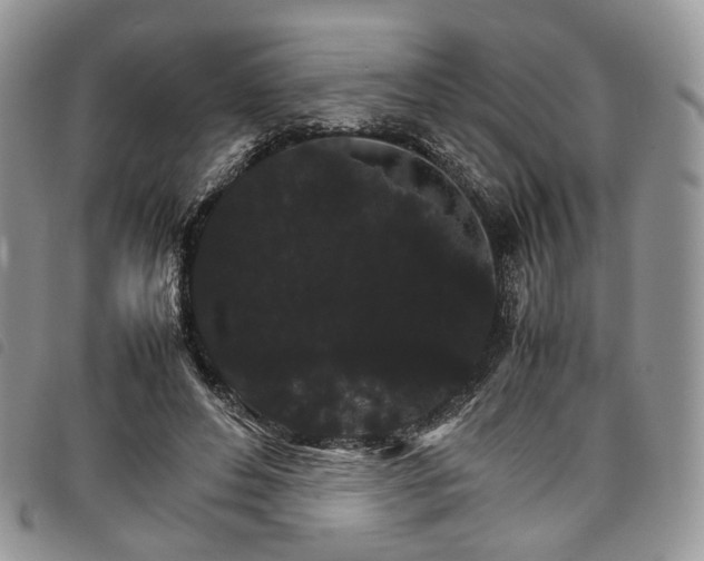 X0000098040496200804071445