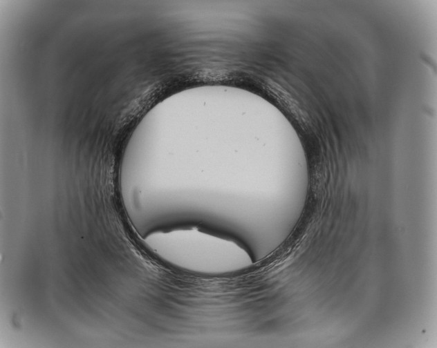 X0000098040497200804071445