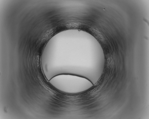 X0000098040498200804071445