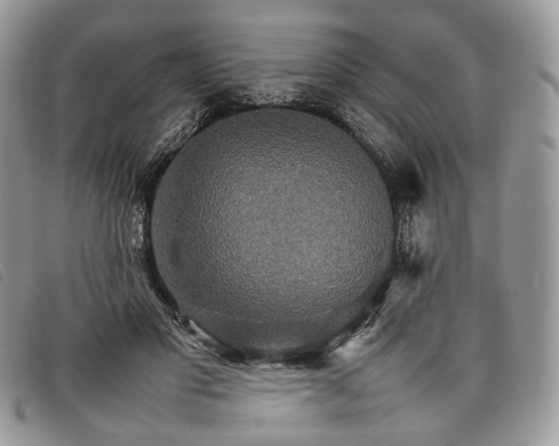 X0000098040501200804071445