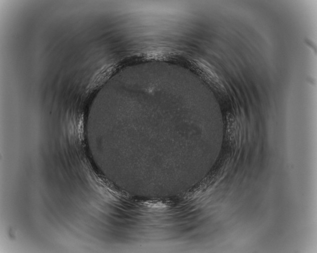 X0000098040502200804071445