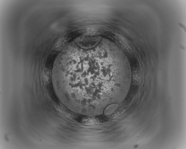 X0000098040503200804071445