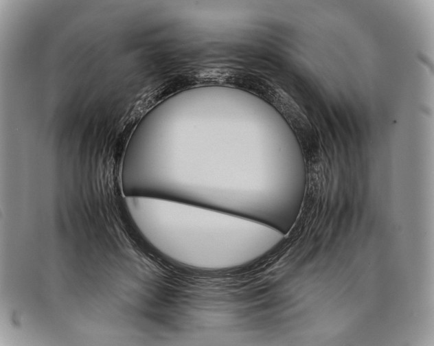 X0000098040504200804071445