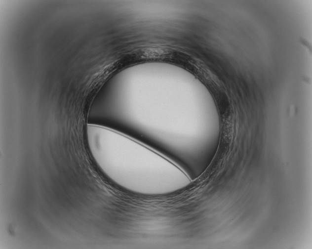 X0000098040505200804071445