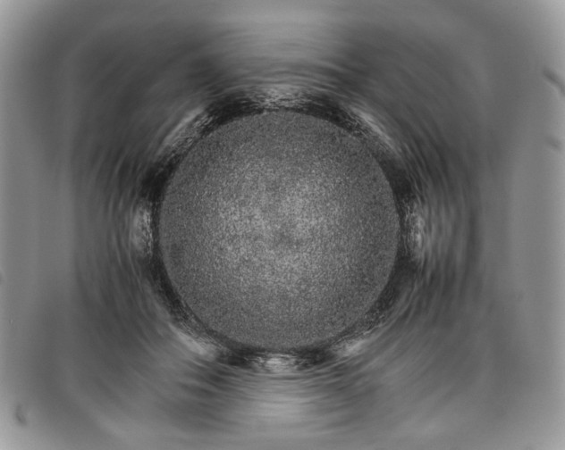 X0000098040506200804071445