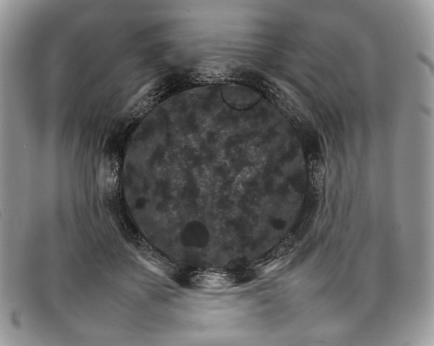 X0000098040507200804071445