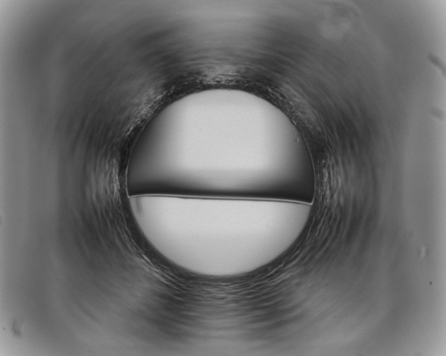 X0000098040508200804071445