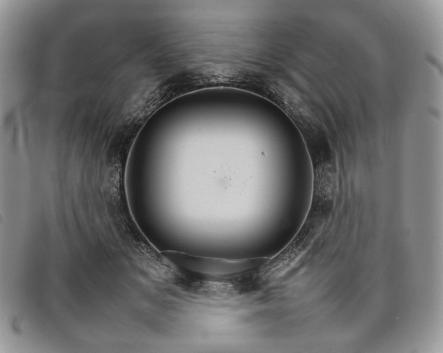 X0000098040509200804071445