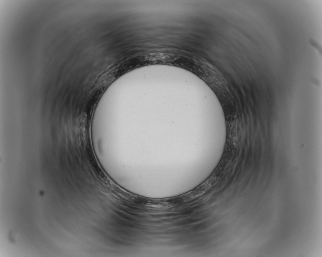 X0000098040510200804071445