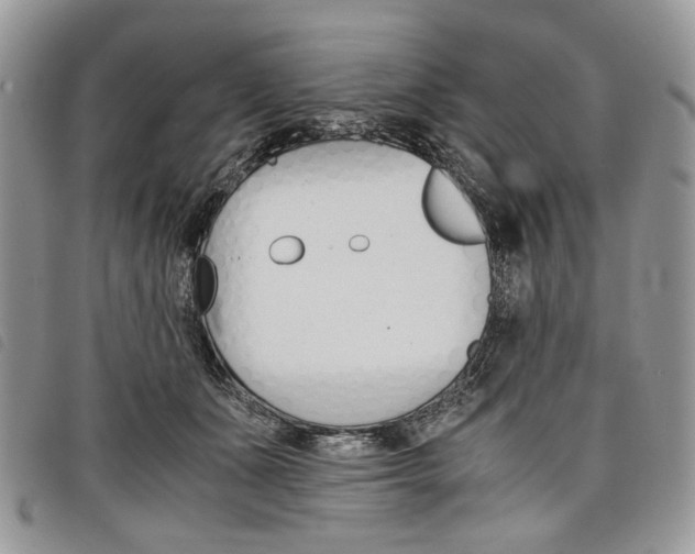 X0000098040511200804071445