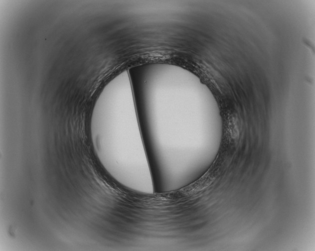 X0000098040512200804071445